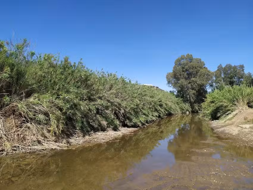 Táse Bem Beach Club