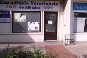 Tradições da Foz Lda