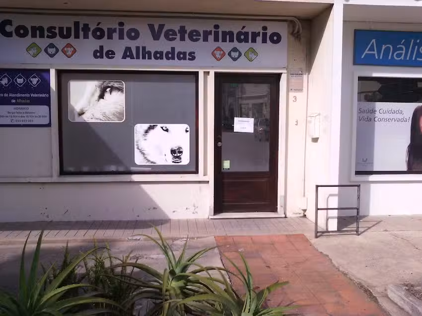 Tradições da Foz Lda