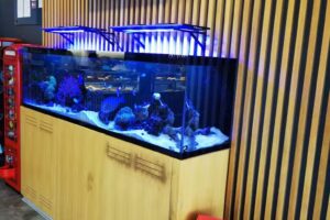 Villa Flor Pastelaria SnackBar